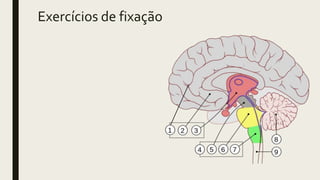 Exercícios de fixação
 