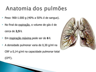 Peso: 900-1.000 g (40% a 50% é de sangue). No final da  expiração , o volume de gás é de cerca de  2,5 l. Em  inspiração máxima  pode ser de  6 l . A densidade pulmonar varia de 0,30 g/ml na CRF a 0,14 g/ml na capacidade pulmonar total (CPT).  