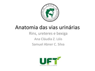 Anatomia das vias urinárias
     Rins, ureteres e bexiga
        Ana Cláudia Z. Lóis
       Samuel Abner C. Silva
 
