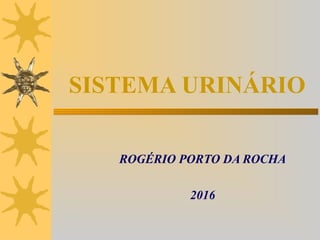 SISTEMA URINÁRIO
ROGÉRIO PORTO DA ROCHA
2016
 