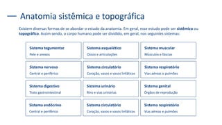Anatomia sistêmica e topográfica
Existem diversas formas de se abordar o estudo da anatomia. Em geral, esse estudo pode ser sistêmico ou
topográfico. Assim sendo, o corpo humano pode ser dividido, em geral, nos seguintes sistemas:
Sistema tegumentar
Pele e anexos
Sistema esquelético
Ossos e articulações
Sistema muscular
Músculos e fáscias
Sistema nervoso
Central e periférico
Sistema circulatório
Coração, vasos e vasos linfáticos
Sistema respiratório
Vias aéreas e pulmões
Sistema digestivo
Trato gastrointestinal
Sistema urinário
Rins e vias urinárias
Sistema genital
Órgãos de reprodução
Sistema endócrino
Central e periférico
Sistema circulatório
Coração, vasos e vasos linfáticos
Sistema respiratório
Vias aéreas e pulmões
 