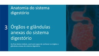 Órgãos e glândulas
anexas do sistema
digestório
Ao final deste módulo, você será capaz de conhecer os órgãos e
glândulas anexas do sistema digestório.
3
Anatomia do sistema
digestório
 