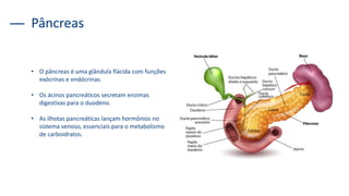 Pâncreas
• O pâncreas é uma glândula flácida com funções
exócrinas e endócrinas.
• Os ácinos pancreáticos secretam enzimas
digestivas para o duodeno.
• As ilhotas pancreáticas lançam hormônios no
sistema venoso, essenciais para o metabolismo
de carboidratos.
 