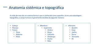 A união de mais de um sistema forma o que é conhecido como aparelho. Já em uma abordagem
topográfica, o corpo humano é geralmente dividido da seguinte maneira:
Anatomia sistêmica e topográfica
• Cabeça
• Pescoço
• Tronco
• Tórax
• Abdome
• Pelve
• Membros
• Superiores
• Ombro
• Braço
• Cotovelo
• Antebraço
• Punho
• Mão
• Inferiores
• Quadril
• Coxa
• Joelho
• Perna
• Tornozelo
• Pé
 