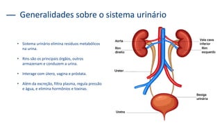 Generalidades sobre o sistema urinário
• Sistema urinário elimina resíduos metabólicos
na urina.
• Rins são os principais órgãos, outros
armazenam e conduzem a urina.
• Interage com útero, vagina e próstata.
• Além da excreção, filtra plasma, regula pressão
e água, e elimina hormônios e toxinas.
 