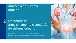 Elementos de
armazenamento e condução
do sistema urinário
Ao final deste módulo, você será capaz de Identificar os
elementos de armazenamento e condução do sistema urinário.
2
Anatomia do sistema
urinário
 