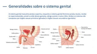 Generalidades sobre o sistema genital
O sistema genital masculino produz esperma, enquanto o sistema genital feminino produz óvulos, recebe
os espermatozoides, provê a união desses gametas, abriga a prole e nutre o feto. Ambos os sistemas são
compostos por órgãos sexuais primários (gônadas) e órgãos sexuais secundários (genitália).
 