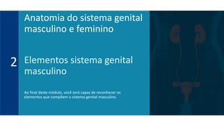 Elementos sistema genital
masculino
Ao final deste módulo, você será capaz de reconhecer os
elementos que compõem o sistema genital masculino.
2
Anatomia do sistema genital
masculino e feminino
 
