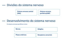 Divisões do sistema nervoso
Sistema nervoso central
(SNC)
Sistema nervoso
periférico(SNP)
Desenvolvimento do sistema nervoso
Nervos Gânglios
O sistema nervoso periférico inclui:
Plexos entéricos Receptores sensoriais
 