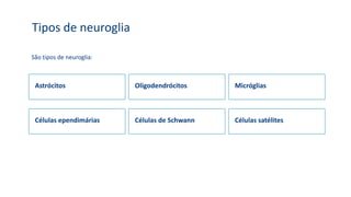 Tipos de neuroglia
Células satélites
São tipos de neuroglia:
Astrócitos Oligodendrócitos Micróglias
Células ependimárias Células de Schwann Células satélites
 