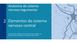 Elementos do sistema
nervoso central
Ao final deste módulo, você será capaz de reconhecer os
elementos que compõem o sistema nervoso central.
2
Anatomia do sistema
nervoso tegumentar
 