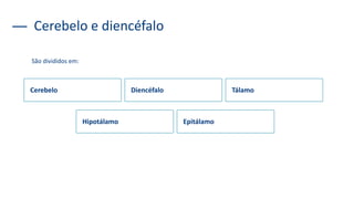 Cerebelo e diencéfalo
São divididos em:
Cerebelo Diencéfalo Tálamo
Hipotálamo Epitálamo
 