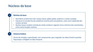 Núcleos da base
Núcleos da base
• Hemisfério cerebral tem três núcleos basais: globo pálido, putâmen e núcleo caudado.
• Claustrum é camada fina de substância cinzenta perto do putâmen, visto como subdivisão dos
núcleos da base.
• Núcleos basais recebem entrada do córtex cerebral e regulam início e término dos movimentos,
entre outras funções motoras.
Sistema límbico
Centro de emoção e aprendizado, com componentes: giro cingulado nos lobos frontal e parietal,
hipocampo e amígdala no lobo temporal.
 