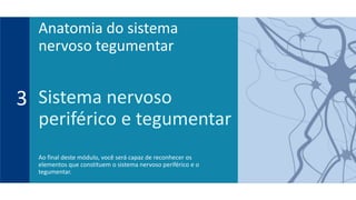 Sistema nervoso
periférico e tegumentar
Ao final deste módulo, você será capaz de reconhecer os
elementos que constituem o sistema nervoso periférico e o
tegumentar.
3
Anatomia do sistema
nervoso tegumentar
 