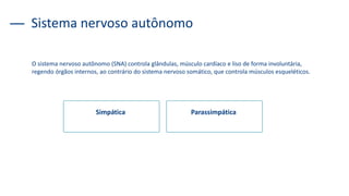 Sistema nervoso autônomo
O sistema nervoso autônomo (SNA) controla glândulas, músculo cardíaco e liso de forma involuntária,
regendo órgãos internos, ao contrário do sistema nervoso somático, que controla músculos esqueléticos.
Simpática Parassimpática
 