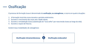 Ossificação
O processo de formação óssea é denominado de ossificação, ou osteogênese, e ocorre em quatro situações:
1. A formação inicial dos ossos durante o período embrionário.
2. Durante o crescimento dos ossos até a idade adulta.
3. Durante a remodelação óssea (substituição de “osso velho” por novo tecido ósseo ao longo da vida).
4. Durante o reparo de fraturas.
Existem duas modalidades de osteogênese:
Ossificação intramembranosa Ossificação endocodral
 