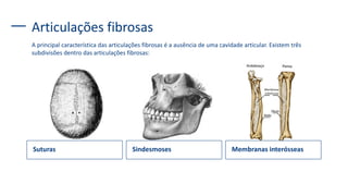 Articulações fibrosas
A principal característica das articulações fibrosas é a ausência de uma cavidade articular. Existem três
subdivisões dentro das articulações fibrosas:
Suturas Sindesmoses Membranas interósseas
 