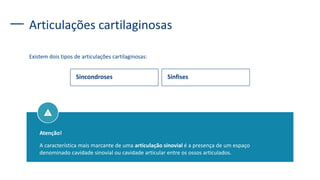 Articulações cartilaginosas
Existem dois tipos de articulações cartilaginosas:
Sincondroses Sínfises
Atenção!
A característica mais marcante de uma articulação sinovial é a presença de um espaço
denominado cavidade sinovial ou cavidade articular entre os ossos articulados.
 