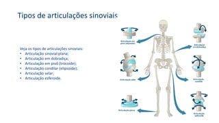 Tipos de articulações sinoviais
Veja os tipos de articulações sinoviais:
• Articulação sinovial plana;
• Articulação em dobradiça;
• Articulação em pivô (trocoide);
• Articulação condilar (elipsoide);
• Articulação selar;
• Articulação esferoide.
 