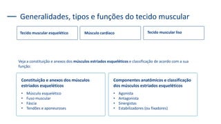 Generalidades, tipos e funções do tecido muscular
Tecido muscular esquelético Músculo cardíaco Tecido muscular liso
Constituição e anexos dos músculos
estriados esqueléticos
• Músculo esquelético
• Fuso muscular
• Fáscia
• Tendões e aponeuroses
Componentes anatômicos e classificação
dos músculos estriados esqueléticos
• Agonista
• Antagonista
• Sinergistas
• Estabilizadores (ou fixadores)
Veja a constituição e anexos dos músculos estriados esqueléticos e classificação de acordo com a sua
função:
 