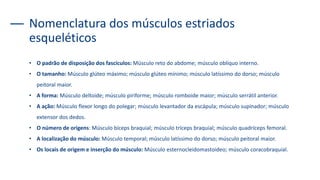 Nomenclatura dos músculos estriados
esqueléticos
• O padrão de disposição dos fascículos: Músculo reto do abdome; músculo oblíquo interno.
• O tamanho: Músculo glúteo máximo; músculo glúteo mínimo; músculo latíssimo do dorso; músculo
peitoral maior.
• A forma: Músculo deltoide; músculo piriforme; músculo romboide maior; músculo serrátil anterior.
• A ação: Músculo flexor longo do polegar; músculo levantador da escápula; músculo supinador; músculo
extensor dos dedos.
• O número de origens: Músculo bíceps braquial; músculo tríceps braquial; músculo quadríceps femoral.
• A localização do músculo: Músculo temporal; músculo latíssimo do dorso; músculo peitoral maior.
• Os locais de origem e inserção do músculo: Músculo esternocleidomastoideo; músculo coracobraquial.
 