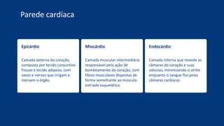 Epicárdio
Camada externa do coração,
composta por tecido conjuntivo
frouxo e tecido adiposo, com
vasos e nervos que irrigam e
inervam o órgão.
Miocárdio
Camada muscular intermediária
responsável pela ação de
bombeamento do coração, com
fibras musculares dispostas de
forma semelhante ao músculo
estriado esquelético.
Endocárdio
Camada interna que reveste as
câmaras do coração e suas
válvulas, minimizando o atrito
enquanto o sangue flui pelas
câmaras cardíacas.
Parede cardíaca
 