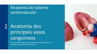 Anatomia dos
principais vasos
sanguíneos
Ao final deste módulo, você será capaz de identificar os
principais vasos do corpo humano.
2
Anatomia do sistema
cardiovascular
 