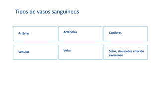 Tipos de vasos sanguíneos
Artérias Arteríolas Capilares
Vênulas Veias Seios, sinusoides e tecido
cavernoso
 