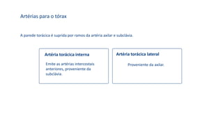 Artérias para o tórax
A parede torácica é suprida por ramos da artéria axilar e subclávia.
Artéria torácica interna
Emite as artérias intercostais
anteriores, proveniente da
subclávia.
Artéria torácica lateral
Proveniente da axilar.
 