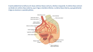 A aorta abdominal se bifurca em duas artérias ilíacas comuns, direita e esquerda. A artéria ilíaca comum
se divide em artéria ilíaca externa, que irriga o membro inferior, e artéria ilíaca interna, que geralmente
irriga as vísceras e a parede pélvica.
 