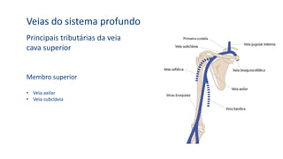 Veias do sistema profundo
Principais tributárias da veia
cava superior
Membro superior
• Veia axilar
• Veia subclávia
 