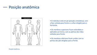 Posição anatômica
• O indivíduo está em pé (posição ortostática), com
a face voltada para frente e o olhar dirigido para o
horizonte.
• Os membros superiores ficam estendidos e
aplicados ao tronco, com as palmas das mãos
voltadas para frente.
• Os membros inferiores ficam unidos com as
pontas dos pés dirigidas para a frente.
Posição Anatômica
 