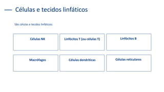 Células e tecidos linfáticos
São células e tecidos linfáticos:
Células NK Linfócitos T (ou células T) Linfócitos B
Macrófagos Células dendríticas Células reticulares
 