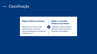 Órgãos linfáticos primários
Medula óssea e timo, onde
células-tronco se tornam
imunocompetentes e produzem
linfócitos B e T.
Órgãos e os tecidos
linfáticos secundários
Linfonodos, baço e nódulos
linfáticos, onde ocorrem as
respostas imunológicas.
Classificação
 