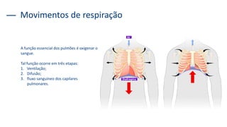A função essencial dos pulmões é oxigenar o
sangue.
Tal função ocorre em três etapas:
1. Ventilação;
2. Difusão;
3. fluxo sanguíneo dos capilares
pulmonares.
Movimentos de respiração
 