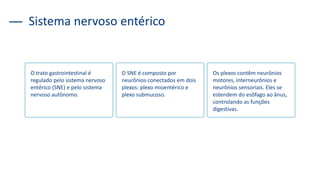 Sistema nervoso entérico
O trato gastrointestinal é
regulado pelo sistema nervoso
entérico (SNE) e pelo sistema
nervoso autônomo.
O SNE é composto por
neurônios conectados em dois
plexos: plexo mioentérico e
plexo submucoso.
Os plexos contêm neurônios
motores, interneurônios e
neurônios sensoriais. Eles se
estendem do esôfago ao ânus,
controlando as funções
digestivas.
 