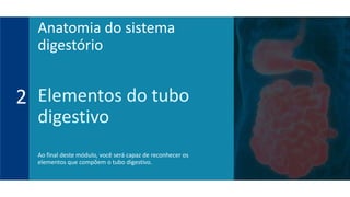 Elementos do tubo
digestivo
Ao final deste módulo, você será capaz de reconhecer os
elementos que compõem o tubo digestivo.
2
Anatomia do sistema
digestório
 