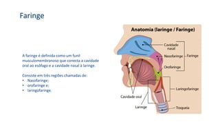A faringe é definida como um funil
musculomembranoso que conecta a cavidade
oral ao esôfago e a cavidade nasal à laringe.
Consiste em três regiões chamadas de:
• Nasofaringe;
• orofaringe e;
• laringofaringe.
Faringe
 