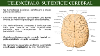 ANATOMIA DO TELENCÉFALO E DIENCÉFALO.pdf giros e sulcos | PDF