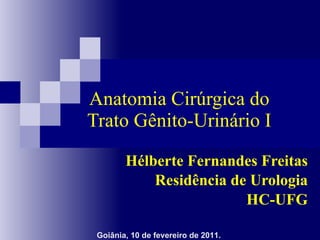 Anatomia Cir úrgica do Trato Gênito-Urinário I Hélberte Fernandes Freitas Residência de Urologia HC-UFG Goiânia, 10 de fevereiro de 2011. 