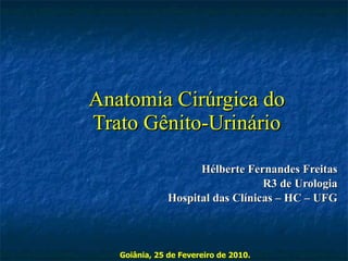 Anatomia Cir úrgica do Trato Gênito-Urinário Hélberte Fernandes Freitas R3 de Urologia Hospital das Clínicas – HC – UFG Goiânia, 25 de Fevereiro de 2010. 