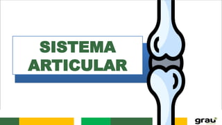 SISTEMA
ARTICULAR
 