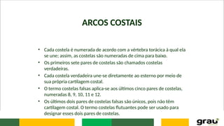 ARCOS COSTAIS
• Cada costela é numerada de acordo com a vértebra torácica à qual ela
se une; assim, as costelas são numeradas de cima para baixo.
• Os primeiros sete pares de costelas são chamados costelas
verdadeiras.
• Cada costela verdadeira une-se diretamente ao esterno por meio de
sua própria cartilagem costal.
• O termo costelas falsas aplica-se aos últimos cinco pares de costelas,
numeradas 8, 9, 10, 11 e 12.
• Os últimos dois pares de costelas falsas são únicos, pois não têm
cartilagem costal. O termo costelas flutuantes pode ser usado para
designar esses dois pares de costelas.
 