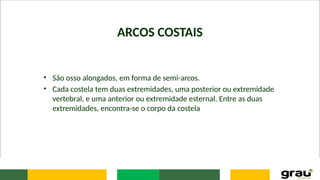 ARCOS COSTAIS
• São osso alongados, em forma de semi-arcos.
• Cada costela tem duas extremidades, uma posterior ou extremidade
vertebral, e uma anterior ou extremidade esternal. Entre as duas
extremidades, encontra-se o corpo da costela
 