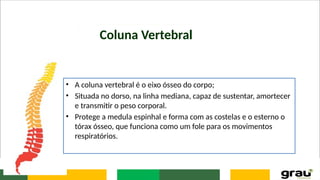 Coluna Vertebral
• A coluna vertebral é o eixo ósseo do corpo;
• Situada no dorso, na linha mediana, capaz de sustentar, amortecer
e transmitir o peso corporal.
• Protege a medula espinhal e forma com as costelas e o esterno o
tórax ósseo, que funciona como um fole para os movimentos
respiratórios.
 