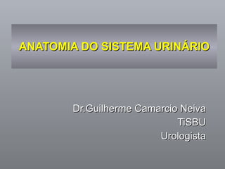 ANATOMIA DO SISTEMA URINÁRIO Dr.Guilherme Camarcio Neiva TiSBU Urologista 