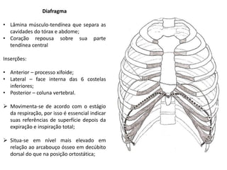 Diafragma

• Lâmina músculo-tendínea que separa as
  cavidades do tórax e abdome;
• Coração repousa sobre sua parte
  tendínea central

Inserções:

• Anterior – processo xifoide;
• Lateral – face interna das 6 costelas
  inferiores;
• Posterior – coluna vertebral.

 Movimenta-se de acordo com o estágio
  da respiração, por isso é essencial indicar
  suas referências de superfície depois da
  expiração e inspiração total;

 Situa-se em nível mais elevado em
  relação ao arcabouço ósseo em decúbito
  dorsal do que na posição ortostática;
 