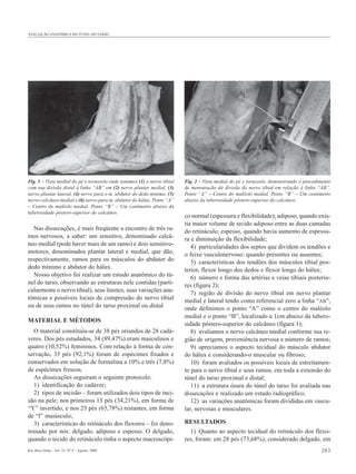 AVALIAÇÃO ANATÔMICA DO TÚNEL DO TARSO




Fig. 1 – Vista medial do pé e tornozelo onde notamos (1) o nervo tibial   Fig. 2 – Vista medial do pé e tornozelo, demonstrando o procedimento
com sua divisão distal à linha “AB” em (2) nervo plantar medial, (3)      de mensuração da divisão do nervo tibial em relação à linha “AB”.
nervo plantar lateral, (4) nervo para o m. abdutor do dedo mínimo, (5)    Ponto “A” – Centro do maléolo medial. Ponto “B” – Um centímetro
nervo calcâneo medial e (6) nervo para m. abdutor do hálux. Ponto “A”     abaixo da tuberosidade póstero-superior do calcâneo.
– Centro do maléolo medial. Ponto “B” – Um centímetro abaixo da
tuberosidade póstero-superior do calcâneo.
                                                                          co normal (espessura e flexibilidade); adiposo, quando exis-
                                                                          tia maior volume de tecido adiposo entre as duas camadas
  Nas dissecações, é mais freqüente o encontro de três ra-                do retináculo; espesso, quando havia aumento de espessu-
mos nervosos, a saber: um sensitivo, denominado calcâ-                    ra e diminuição da flexibilidade;
neo medial (pode haver mais de um ramo) e dois sensitivo-                    4) particularidades dos septos que dividem os tendões e
motores, denominados plantar lateral e medial, que dão,                   o feixe vasculonervoso: quando presentes ou ausentes;
respectivamente, ramos para os músculos do abdutor do                        5) características dos tendões dos músculos tibial pos-
dedo mínimo e abdutor do hálux.                                           terior, flexor longo dos dedos e flexor longo do hálux;
  Nosso objetivo foi realizar um estudo anatômico do tú-                     6) número e forma das artérias e veias tibiais posterio-
nel do tarso, observando as estruturas nele contidas (parti-              res (figura 2);
cularmente o nervo tibial), seus limites, suas variações ana-                7) região de divisão do nervo tibial em nervo plantar
tômicas e possíveis locais de compressão do nervo tibial                  medial e lateral tendo como referencial zero a linha “AB”,
ou de seus ramos no túnel do tarso proximal ou distal.                    onde definimos o ponto “A” como o centro do maléolo
                                                                          medial e o ponto “B”, localizado a 1cm abaixo da tubero-
MATERIAL E MÉTODOS
                                                                          sidade póstero-superior do calcâneo (figura 1);
  O material constituiu-se de 38 pés oriundos de 28 cadá-                    8) avaliamos o nervo calcâneo medial conforme sua re-
veres. Dos pés estudados, 34 (89,47%) eram masculinos e                   gião de origem, proveniência nervosa e número de ramos;
quatro (10,52%) femininos. Com relação à forma de con-                       9) apreciamos o aspecto tecidual do músculo abdutor
servação, 35 pés (92,1%) foram de espécimes fixados e                     do hálux e considerando-o muscular ou fibroso;
conservados em solução de formalina a 10% e três (7,8%)                      10) foram avaliados os possíveis locais de estreitamen-
de espécimes frescos.                                                     to para o nervo tibial e seus ramos, em toda a extensão do
  As dissecações seguiram o seguinte protocolo:                           túnel do tarso proximal e distal;
  1) identificação do cadáver;                                               11) a estrutura óssea do túnel do tarso foi avaliada nas
  2) tipos de incisão – foram utilizados dois tipos de inci-              dissecações e realizado um estudo radiográfico;
são na pele; nos primeiros 13 pés (34,21%), em forma de                      12) as variações anatômicas foram divididas em vascu-
“Y” invertido, e nos 25 pés (65,78%) restantes, em forma                  lar, nervosas e musculares.
de “I” maiúsculo;
  3) características do retináculo dos flexores – foi deno-               RESULTADOS
minado por nós: delgado, adiposo e espesso. O delgado,                      1) Quanto ao aspecto tecidual do retináculo dos flexo-
quando o tecido do retináculo tinha o aspecto macroscópi-                 res, foram: em 28 pés (73,68%), considerado delgado, em
Rev Bras Ortop _ Vol. 35, Nº 8 – Agosto, 2000                                                                                            283
 