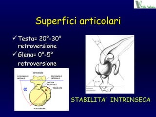 Superfici articolari Testa= 20°-30° retroversione  Glena= 0°-5° retroversione STABILITA’  INTRINSECA 