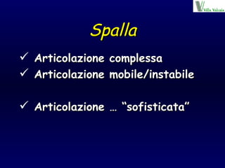 Spalla Articolazione complessa Articolazione mobile/instabile Articolazione … “sofisticata” 